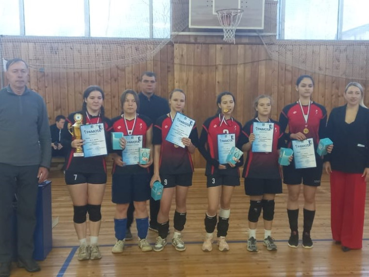 Соревнования по волейболу.