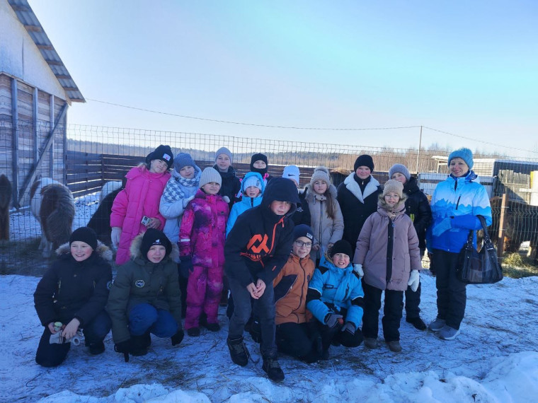 5А в тактильном зоопарке.